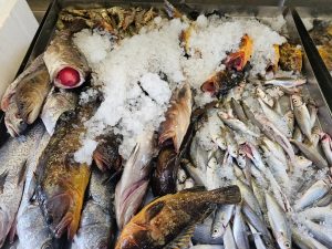 WhatsApp Image 2026-02-25 at 16.55.46 (3)