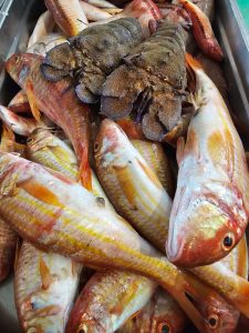 WhatsApp Image 2026-02-25 at 16.55.46 (4)