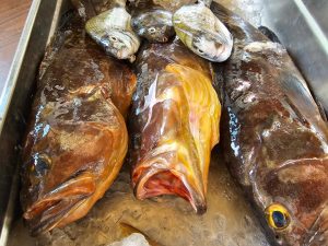 WhatsApp Image 2026-02-25 at 16.55.46 (5)