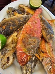 WhatsApp Image 2026-02-25 at 16.55.46 (6)