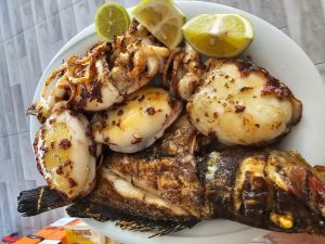 WhatsApp Image 2026-02-25 at 16.55.47 (2)